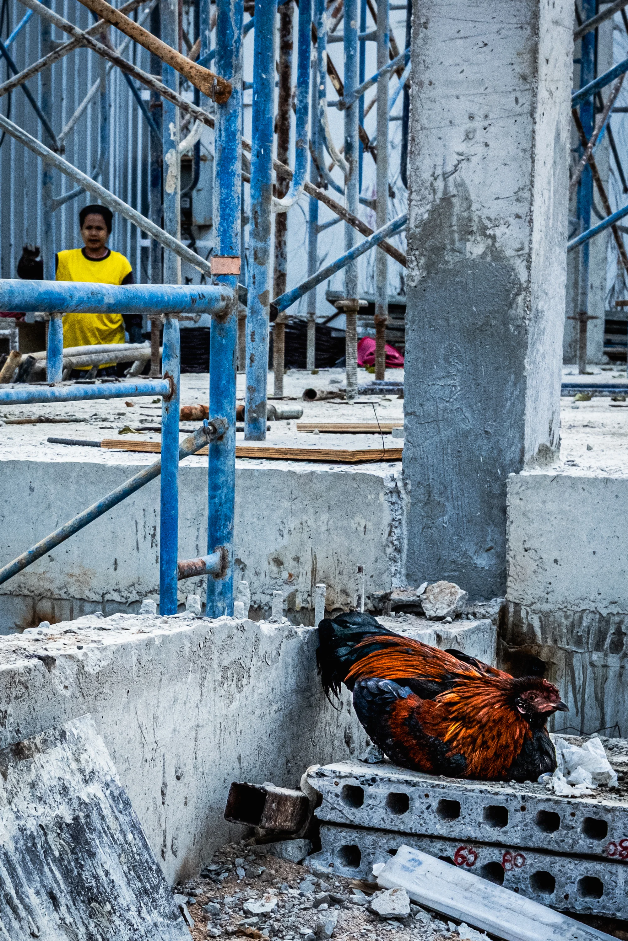 Light Color and Abstraction